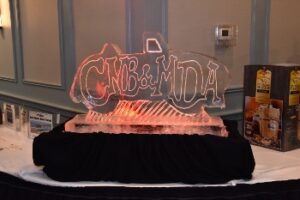 DSC_2494-350x233
